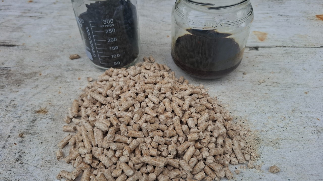 biochar wood pellets snapshot